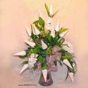 images17