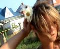 images54