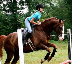 equestrian-jumping