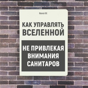 Именной ежедневник Как управлять вселенной не привлекая внимание санитаров - фото