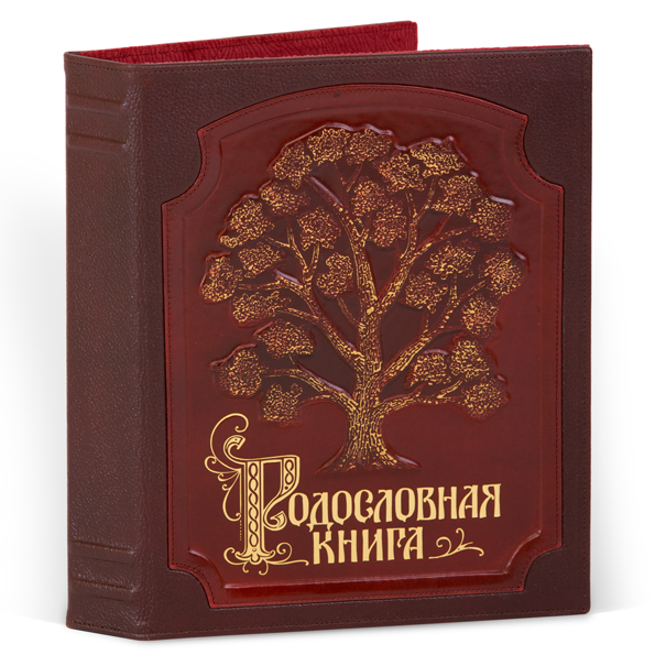 Родословная книга Изысканная кож.облож. с золотой росписью (подар.упак) РК-055 KNP-РК-055 - фото