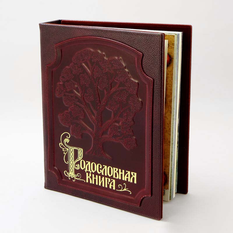 Альбом Родословная Книга Изысканная кожаная обложка KSVA-PM-004 - фото