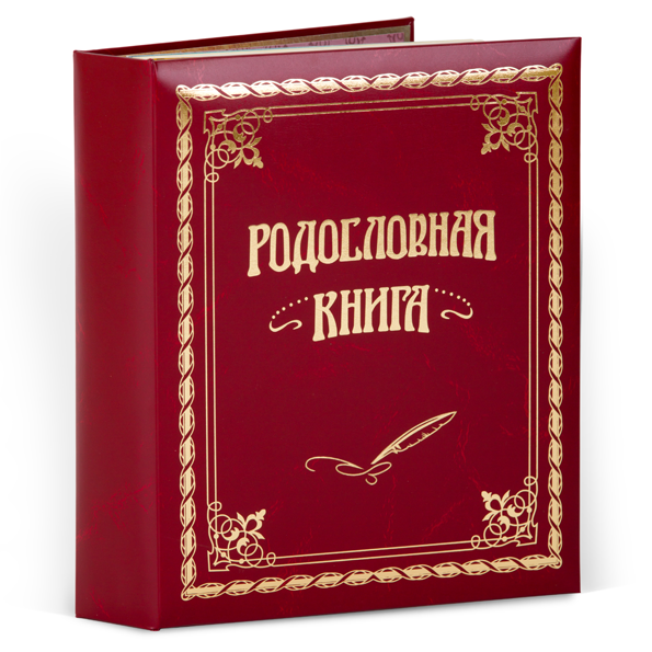 Родословная книга Классическая кож.зам. (подар.упак.) РК-001 KNP-РК-001 - фото