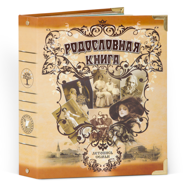 Родословная книга Семейный альбом карт.облож. (подар.упак.) РК-068-с KNP-РК-068-с - фото