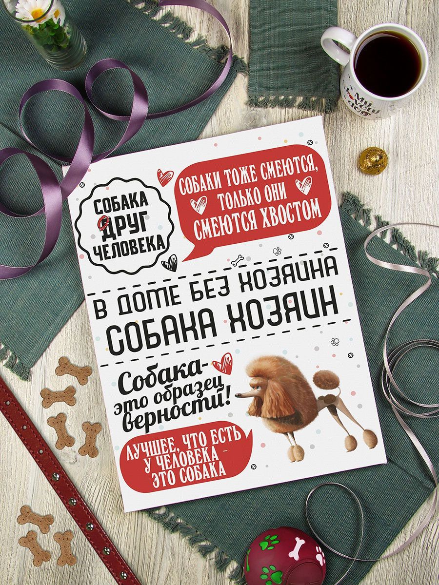 Картина Человек собаке друг: Пудель 30х40, упаковка пленка с картонными углами KGP-10051843 - фото