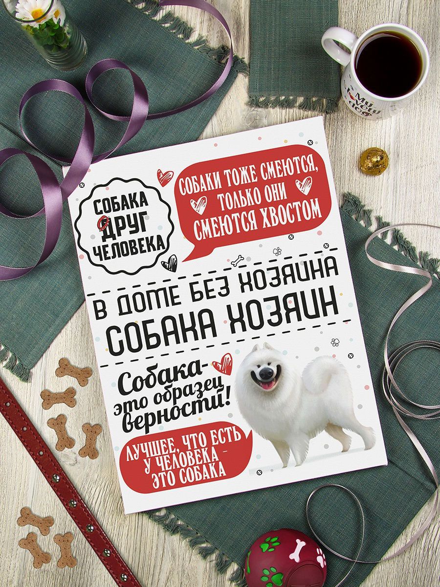 Картина Человек собаке друг: Самоед 30х40, упаковка пленка с картонными углами KGP-10051835 - фото