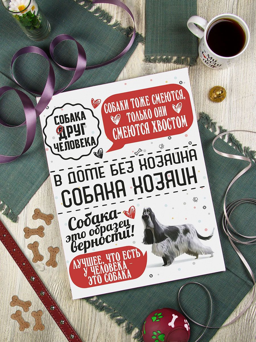 Картина Человек собаке друг: Спаниель 30х40, упаковка пленка с картонными углами KGP-10051836 - фото