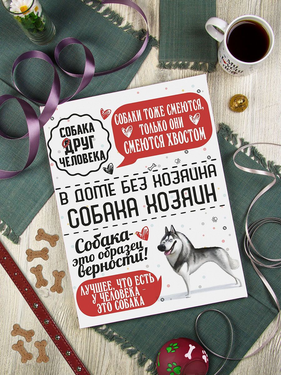 Картина Человек собаке друг: Хаски 30х40, упаковка пленка с картонными углами KGP-10051841 - фото