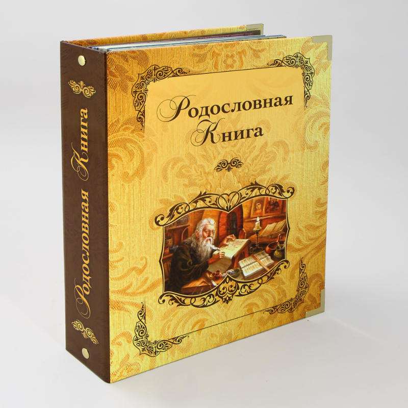 Альбом Родословная Книга Летописец ламинированная обложка 24.5*31.5*5см KSVA-PM-012-ЛС - фото