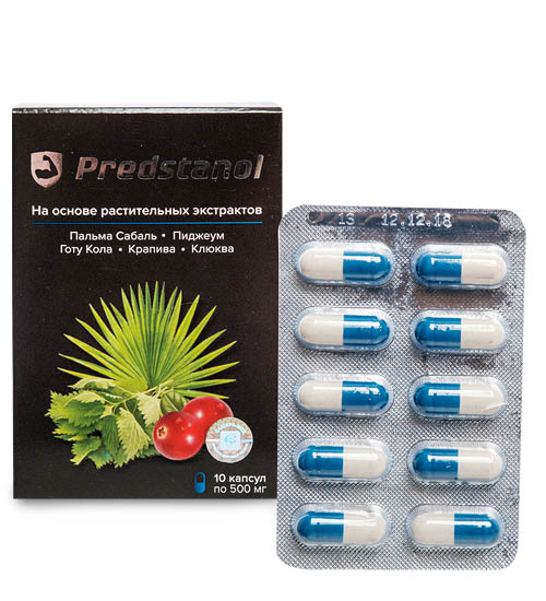 Капсулы для мужчин, №10*0,5 г MED-24/01 Predstanol 113-85178 - фото