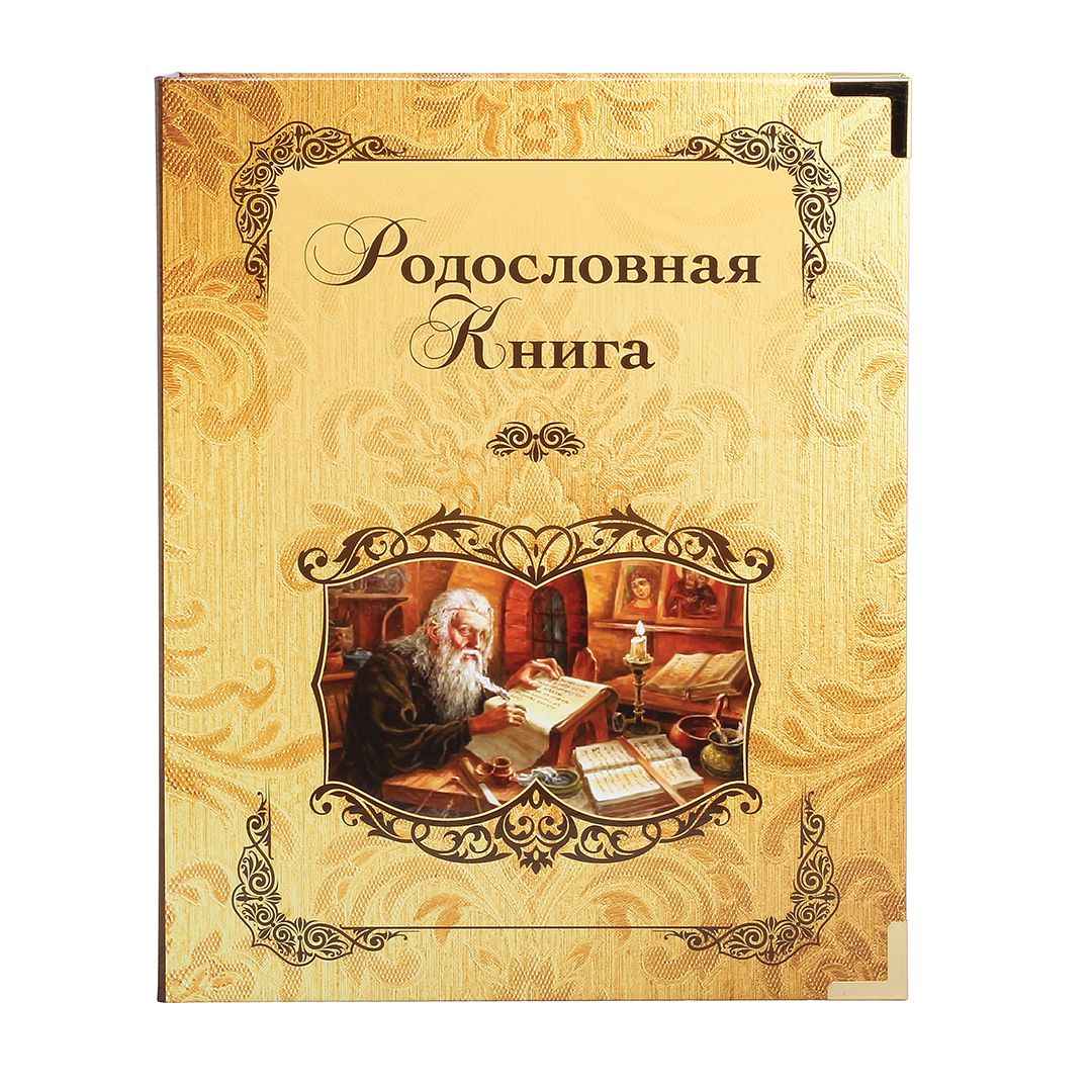 Родословная книга Летописец в картонной коробке KGP-040102004/1 - фото