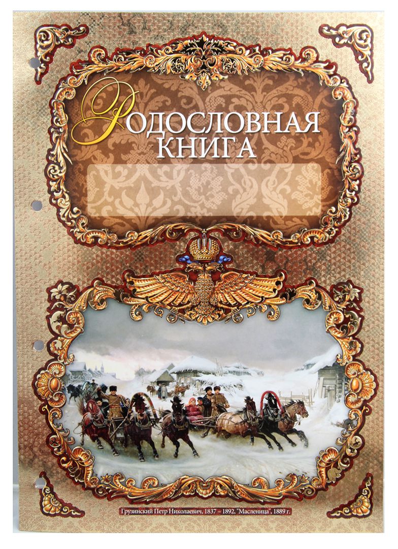 Родословная книга Тройка в картонной коробке KGP-040102003/1 - фото