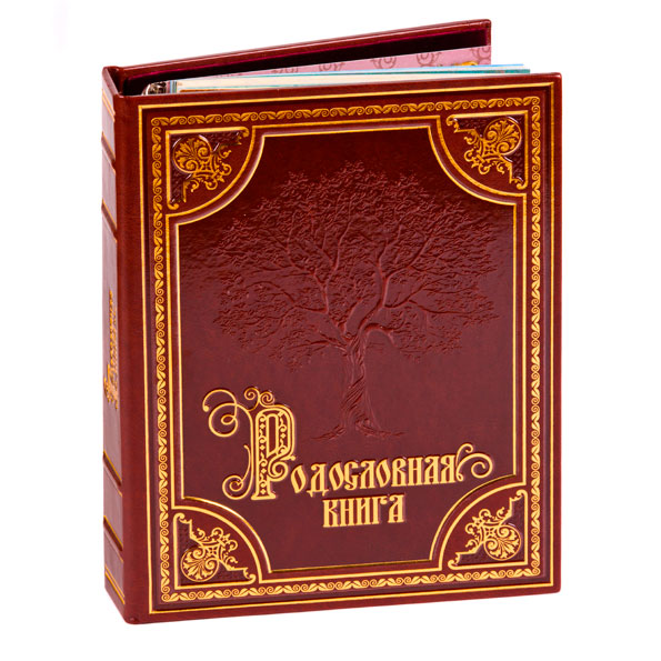 Родословная книга Летописец с картинкой в картонной коробке KGP-040102014/1 - фото