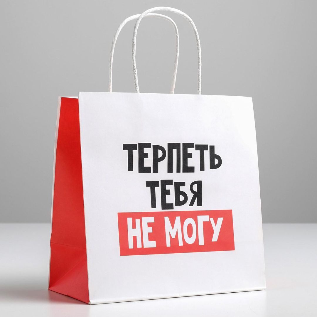 Подарочный пакет Терпеть тебя не могу (22 х 22 х 11 см) - фото